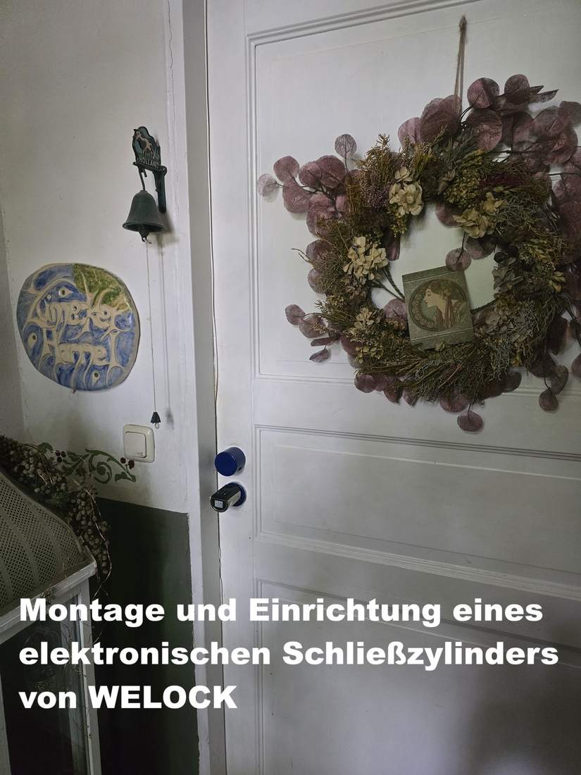 WELOCK Schließzylinder an einer Altbautür – Montage ohne Umbau der Tür